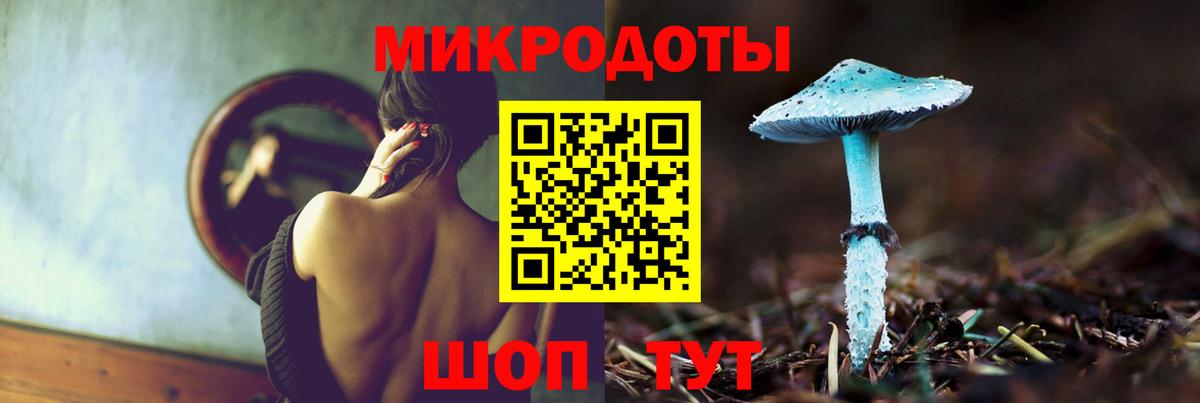 Сосновоборск  Псилоцибиновые грибы GOLDEN TEACHER  Вход с VPN  Псилоцибиновые грибы Psilocybine cubensis 